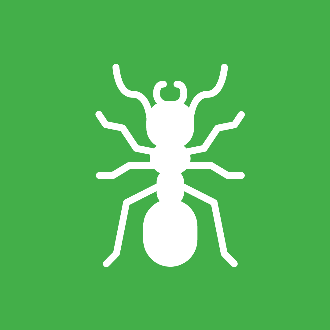 Mosquito Joe Fire Ant Icon